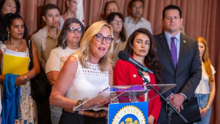 Recover and Rebuild: Wildfire Survivor Insurance Reform